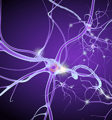 Comprehensive Neurology Clinic